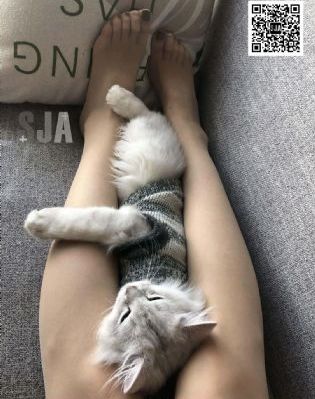 少女动漫在线高清免费观看